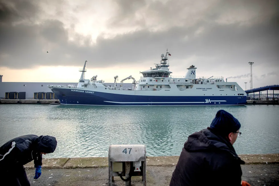 Skipet «Norwegian Gannet» er bygget for å frakte norsk laks levende til Danmark for slakting og foredling.