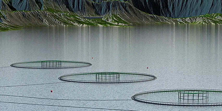 Marine Harvest søkte om 14 utviklingskonsesjonar for test og utvikling av teknologi laga av Hauge Aqua.