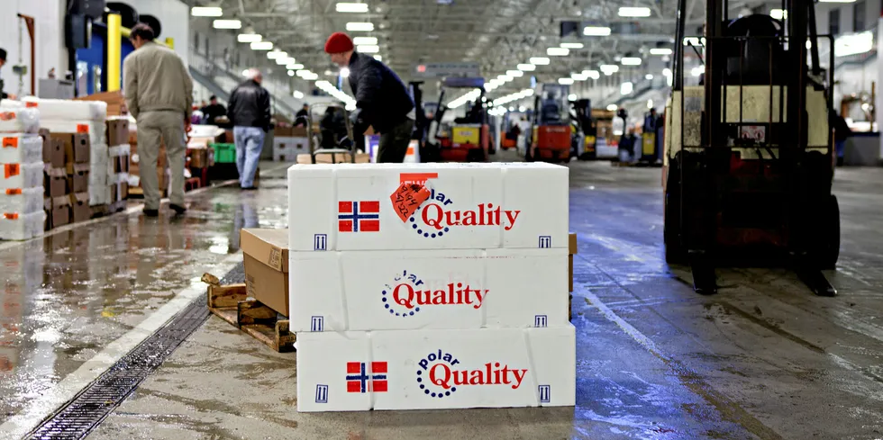 Eksporten av sjømat fra Norge til USA har økt de siste årene. Her et illustrasjonsfoto fra New Fulton Fish Market i Bronx.