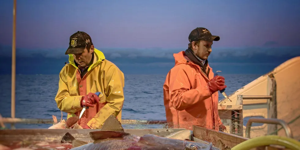 ENDRING: Lukket gruppe-fiskere som skal være med i det fortsatt åpne blåkveitefisket, risikerer å møte nye krav til eiersammensetningen i eget rederi.