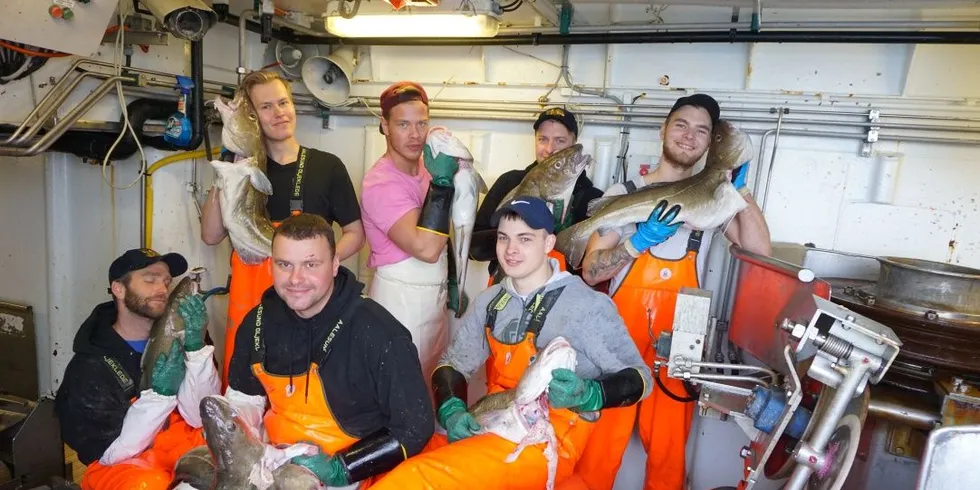 Garn- og linebåten «Loran» hadde et knallår i 2015, og de ansatte koser seg med torsken. Bak fra venstre: Stig Ruben Kleivan, Laurits Sommerseth, Adrian Dyb, Joakim Gjendem. Foran fra venstre: Bård Lund, Luidas Maciunas, Sondre Alnes Ytterland. Alle foto: privat