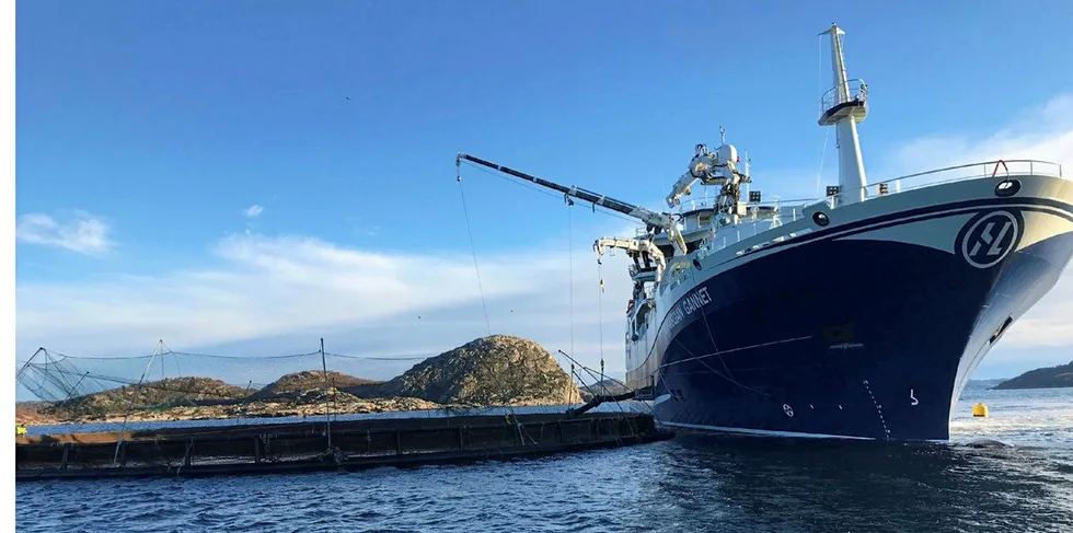 «Norwegian Gannet». Pressefoto