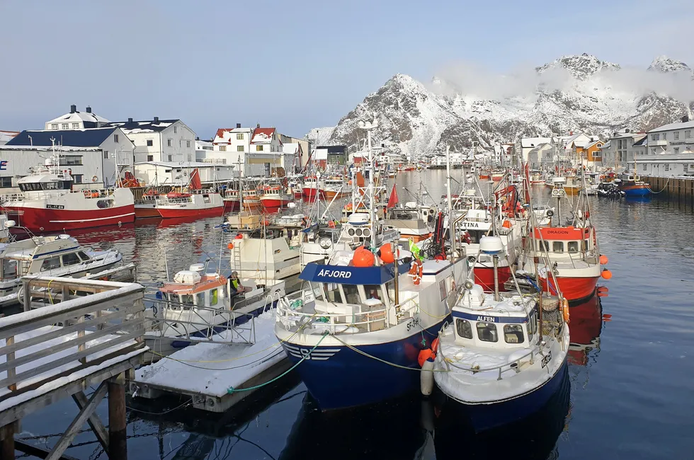 – Vi har sett kvotenedgang på viktige fiskeslag i flere år, og det kan være utfordrende, sier Nofima-forsker Audun Iversen.