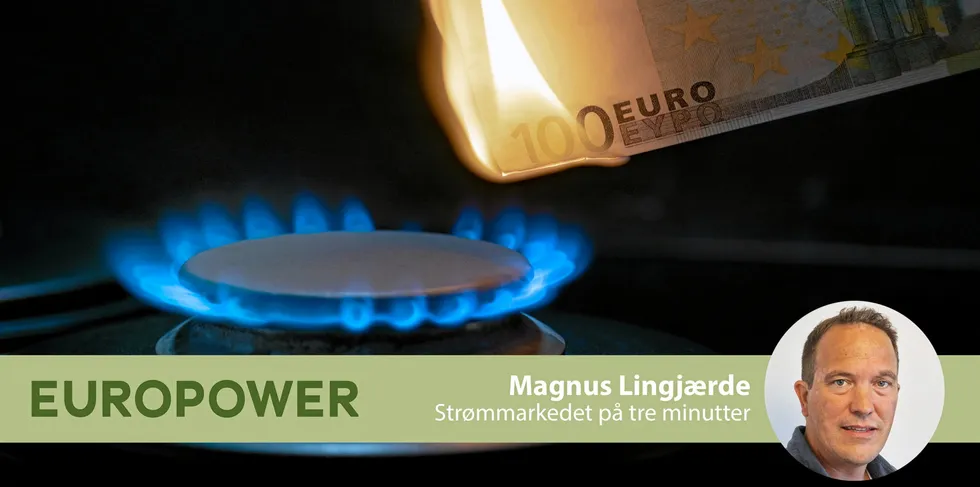 Produsentene kan forvente fire ganger så høy pris til vinteren