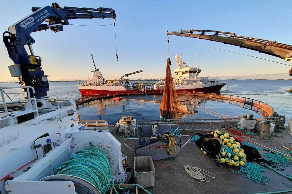 Mengdevis med smolt døde hos Nordlaks i Tysfjorden under et algeangrep for noen år siden. Det dør fremdeles altfor mange laks i norske oppdrettsanlegg, og det er på tide kravene blir tøffere, mener Fiskeribladet.