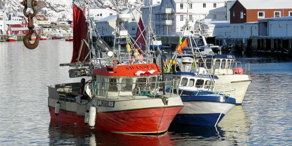 FERDIG: Åpen gruppe-sjarkene «Swansea», «Lorine» og «Leik» satset som mange andre kystfiskebåter på å gjøre unna sitt vinterfiske med base i Henningsvær.Foto: Jon Eirik Olsen