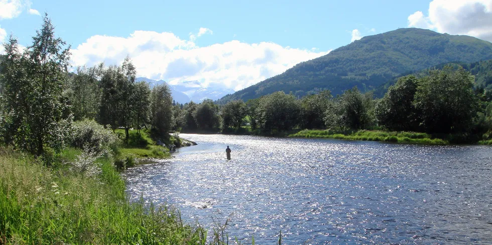 Illustrasjonsfoto lakseelev.