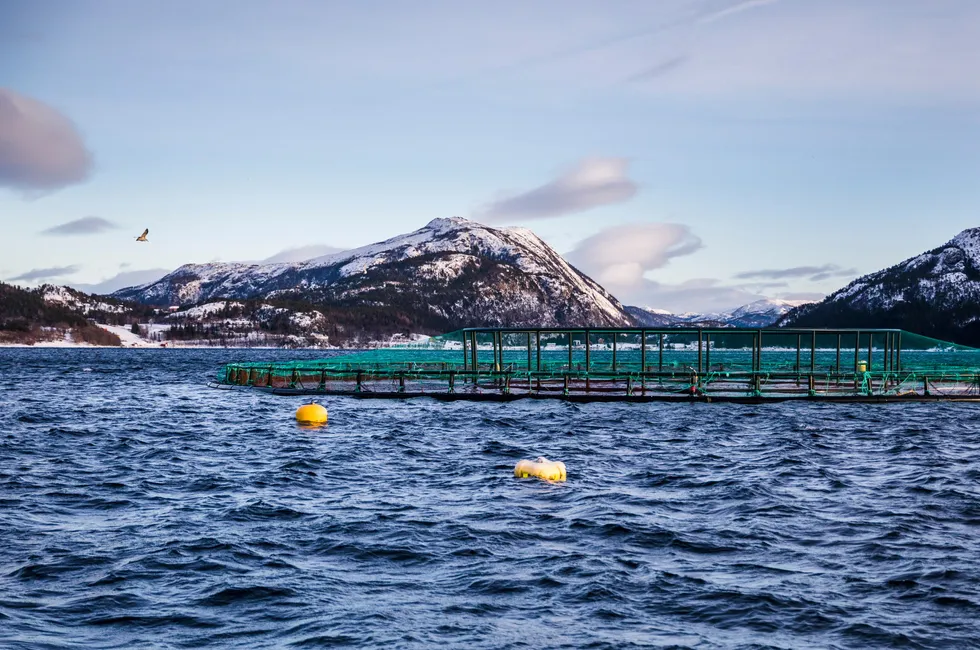 Investering i lukkede merder som tåler norske forhold er betydelig høyere enn for åpne merder. Her et av Salmonor sine oppdretsanlegg.