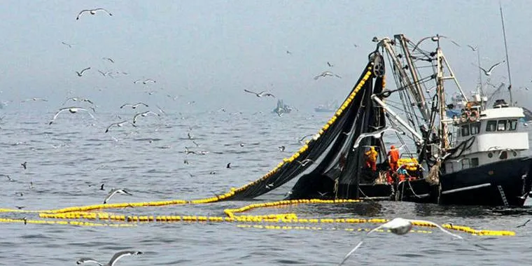 Fiske i Peru.Foto: Produce