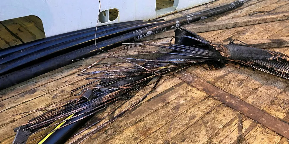 PEX-kablene i Oslofjorden som fikk betydelig skade av ankeret er nå reparert. Foto: Statnett