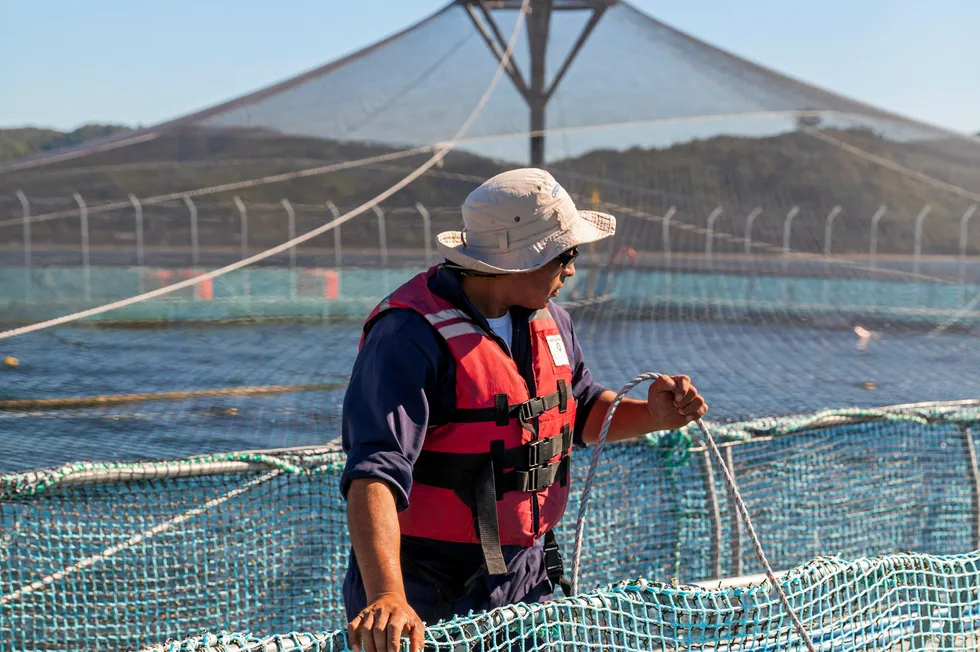 Salmones Camanchaca driver lakseproduksjon i Chile.