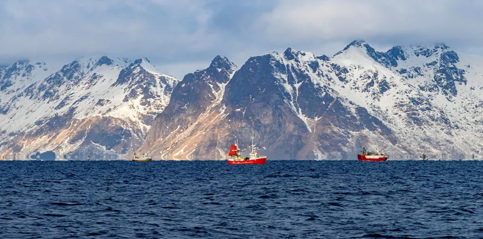 Bildet viser vinterfiske etter torsk i Lofoten. Det er lofotfisket som folk flest forbinder med norsk sjømat.