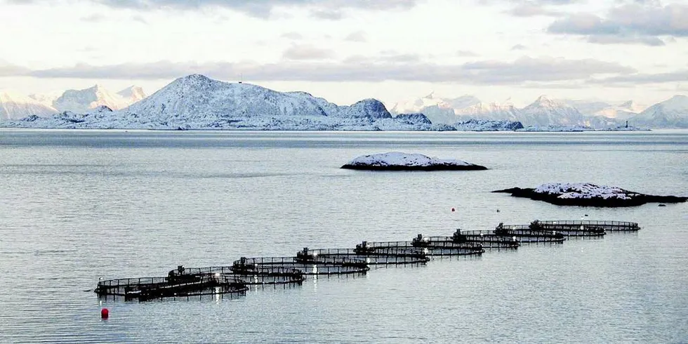 RØDSONE: Trafikklyssystemet bør kunne brukes også for å klarere et fjordområder som egnet for lakseoppdrett, målt mot mulig skadevirkning på økosystemene i fjordene.Foto: Morten Vikeby