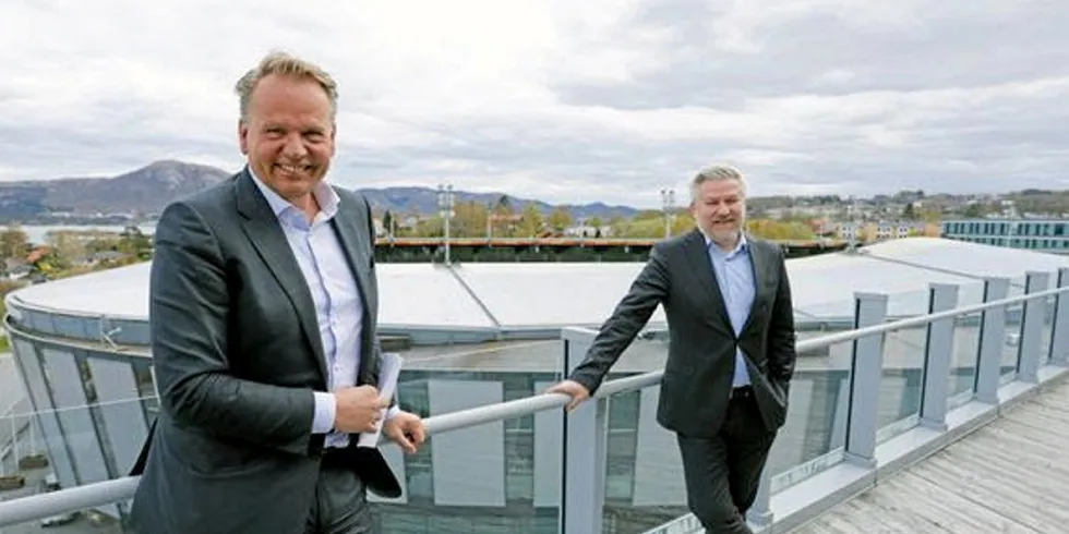 Equinor og Vårgrønn går sammen om å søke lisens for flytende havvind i Utsira Nord.