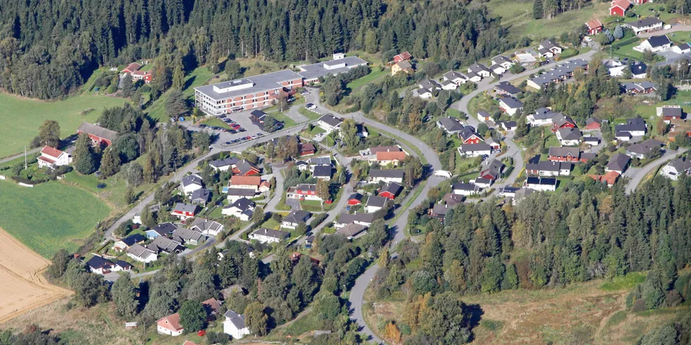 Selv om Norge allerede er elektrifisert, utgjør fortsatt bensin, diesel og vedfyring en stor andel av energiforbruket.