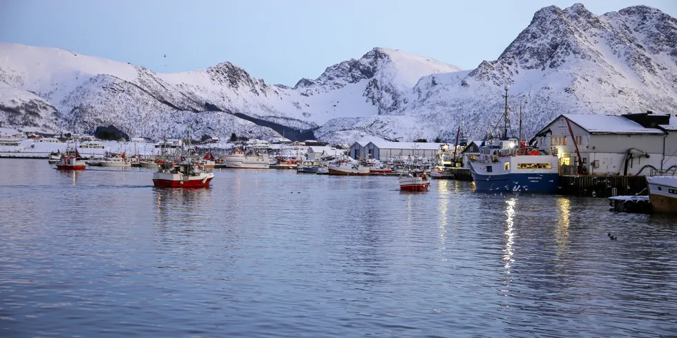 Nordland fylkeskommune vil ha mer havbruk i Vesterålen og ellers i Nordland. Men får nå stadig flere søknader om dette i retur fra Statsforvalteren i Nordland.