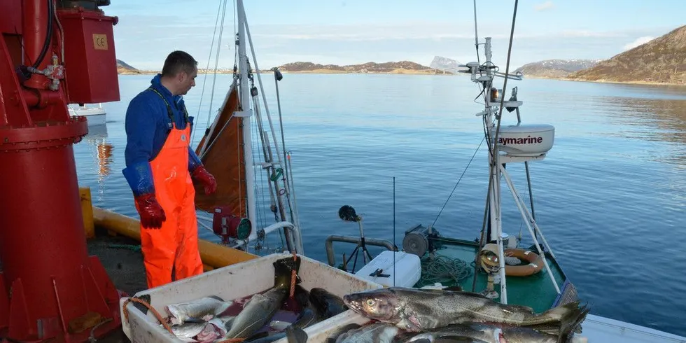 Torskefiske. Ill.foto: Rune Ytreberg, DN.