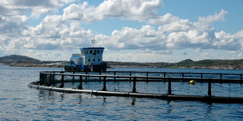 Emilsen Fisk i Vikna i Nord-Trøndelag.