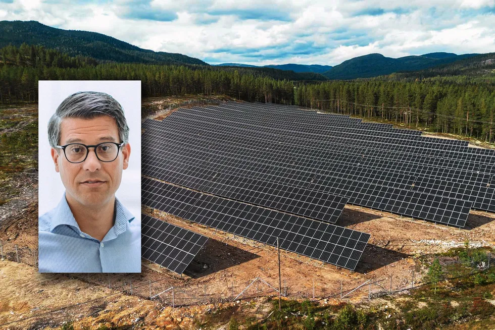 Marcus Landelin leder selskapet som satser på de aller største utbyggingene av solkraft i Norge nå. Bildet er fra Furuseth solkraftverk.