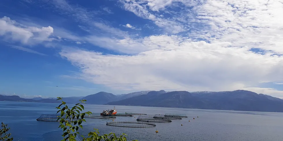 Lokalitet Teigland I, her ved Tombre fiskeanlegg, er av dei lokalitetane som har hatt låge lusetal i august.