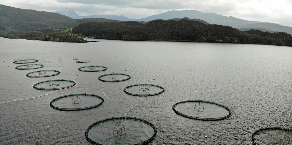 lokalitet oppdrettsanlegg biomasse drone ringer merd sogn og fjordane