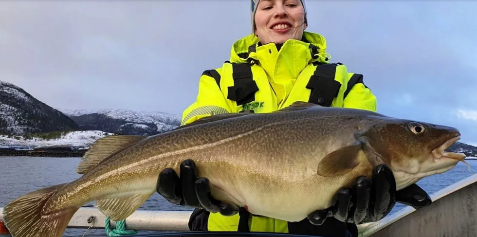 Norcod satser på oppdrett av torsk