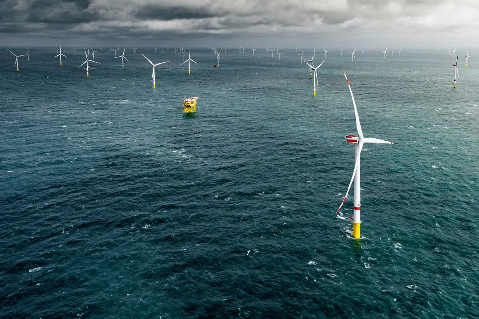 The Deutsche Bucht wind farm in the German North Sea.