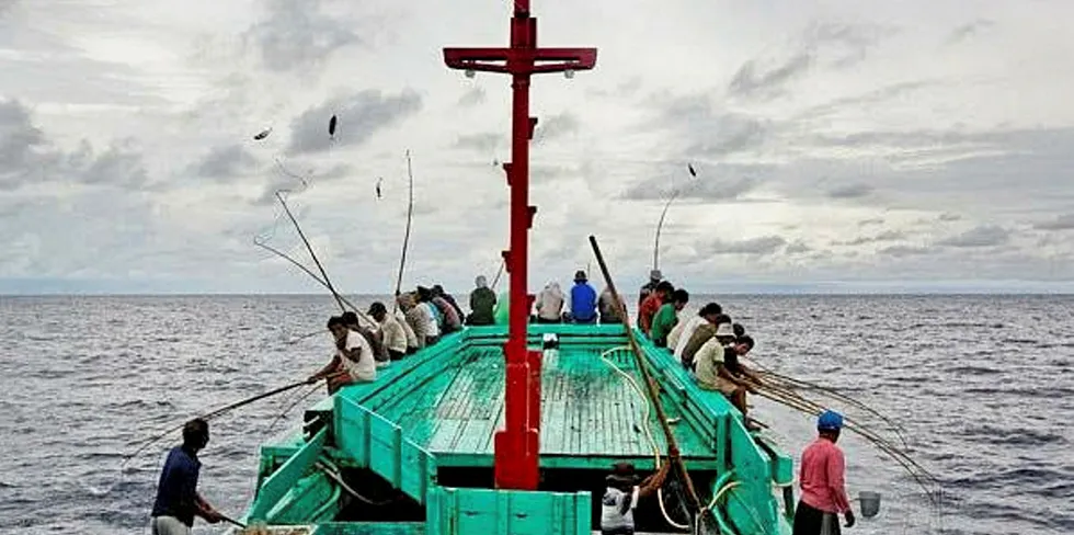 Indonesia tuna.