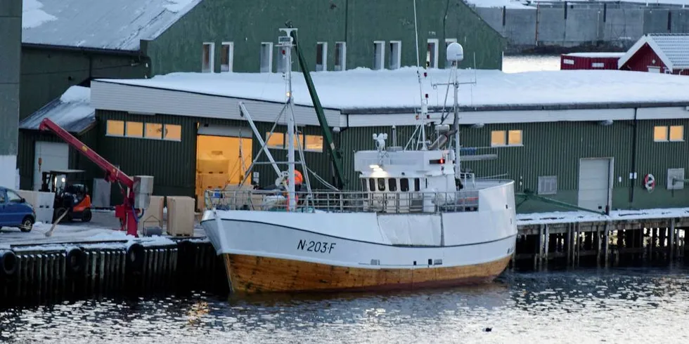 LEVERING: «Ringskjær Nord» leverer sei hos Berg Seafood i Svolvær en sen januar-ettermiddag.Foto: Frank Einar Iversen