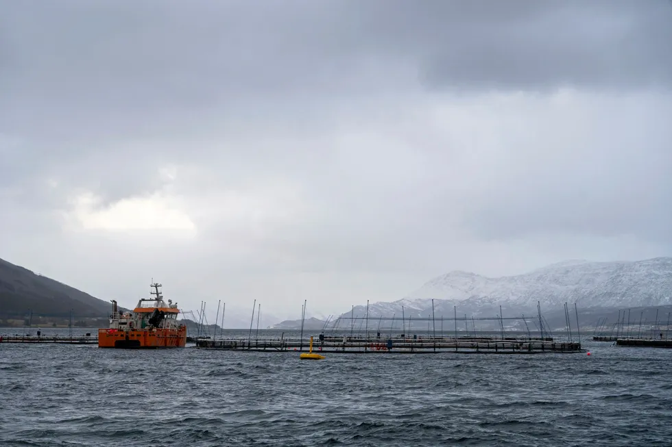 Norcod's facility in Labukta, Nesna municipality.