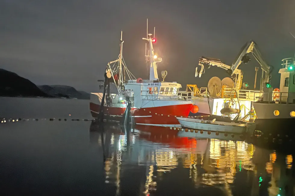 I Meløy har en gjeng kystfiskere tatt opp tradisjon med landnotfiske etter sild. Ole Helge Andersen med «Horntind» er en av disse.