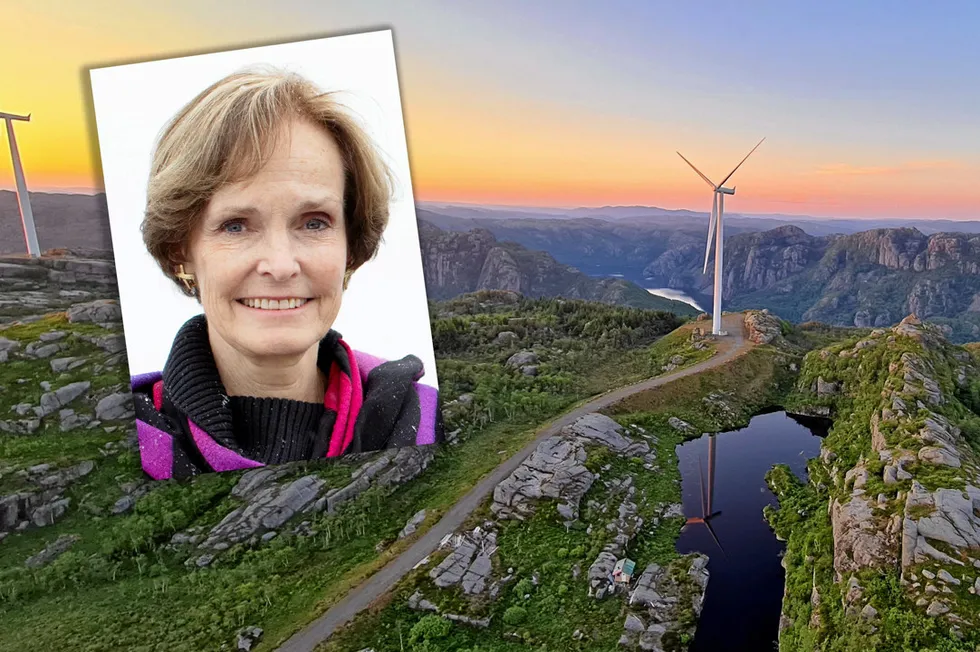 Det er det børsnoterte selskapet Bonheur, der Anette Olsen er daglig leder, som eier Fred. Olsen Renewables – som igjen har aksjemajoriteten i Lista vindkraftverk. Kraftverket har tjent en halv milliard kroner etter skatt de siste tre årene – nesten det samme som vindparken kostet å bygge ut.