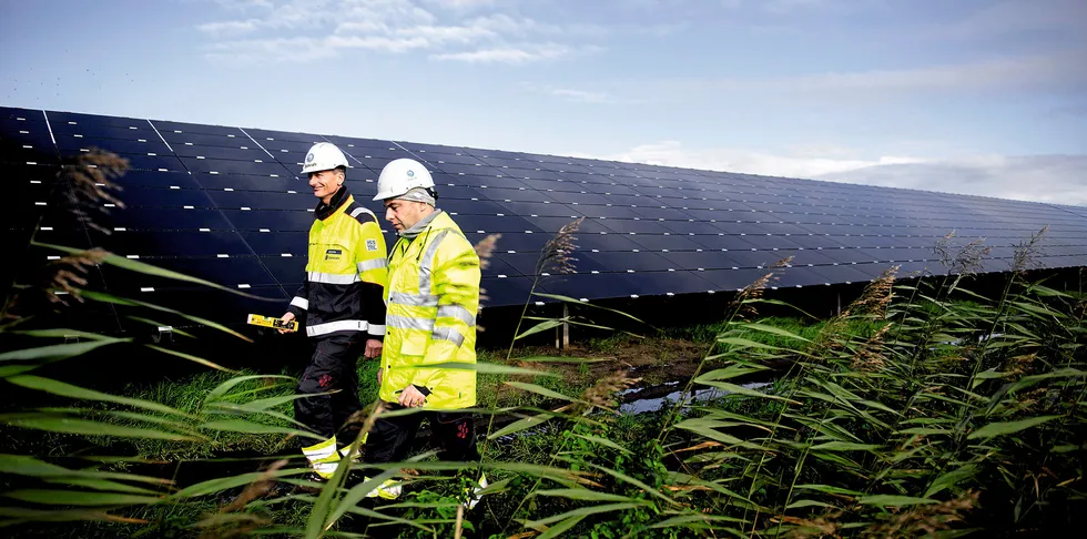 Statkrafts eiendeler utenfor Norge, som her ved selskapets solarpark utenfor Emmen i Nederland, har økt betydelig i verdi som følge av fall i kronekursen.