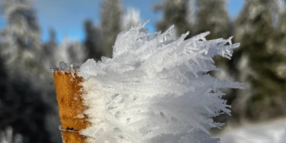 Lave temperaturer og lite vindkraft bidrar til høye priser i Europa mandag.