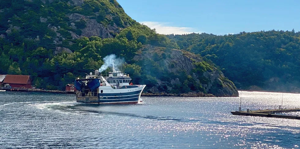 Ta en tur fra Søgne til Svelvik. Kikk i hyttebøkene, så ser vi hvor hummeren havner, skriver Johán H. Williams i Willfish Ocean Management.