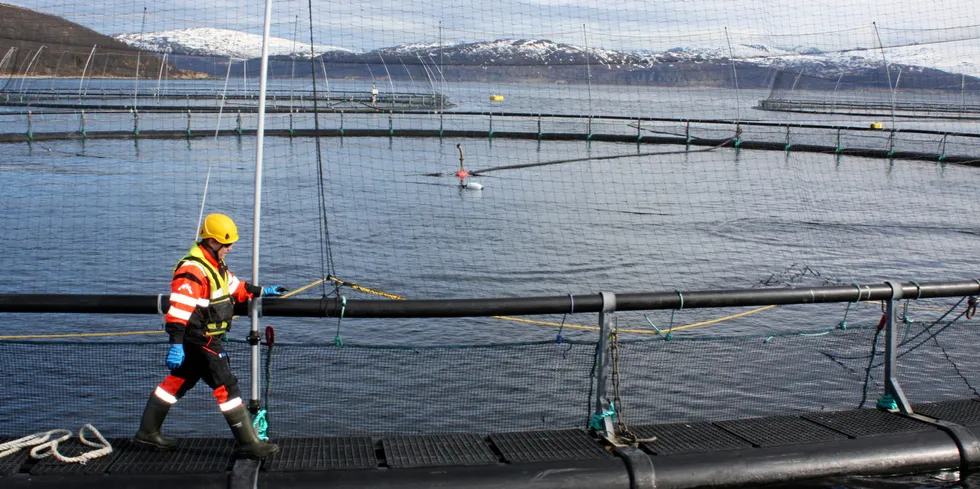 For første gang på syv år er det laget en ny HMS-undersøkelse i havbruksnæringen.