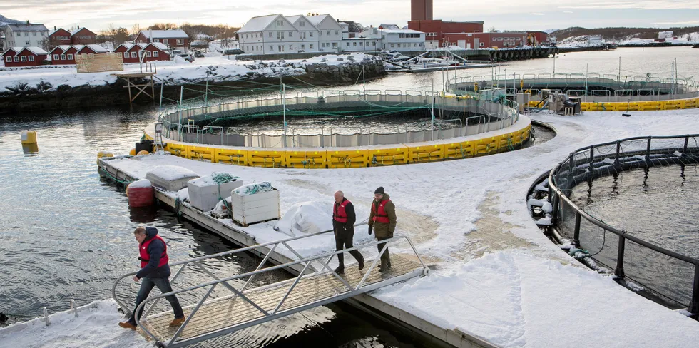 Brønnøysund: Akvafuture har utviklet en teknologi for lukkede merder for oppdrett av fisk. Dette kan være en måte å unngå lakselus på. Firmaet har base i Brønnøysund, og de har tre kommersielle anlegg i sjøen.