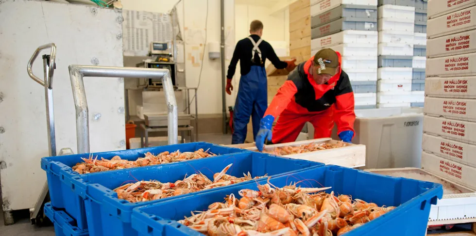 Vi må legge til rette for en mottaksstruktur som gjør at fisken kan landes langs kysten, og landindustrien må sikres mest mulig stabil tilgang på råstoff av god kvalitet.