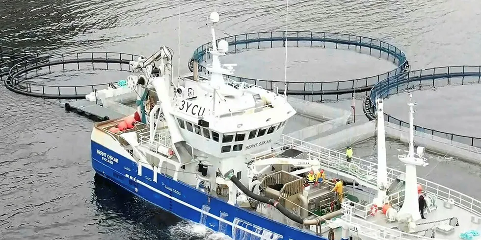 SOLGT: «Bernt Oskar» her utenfor Havøysund i slutten av april, hvor de leverer torsk.