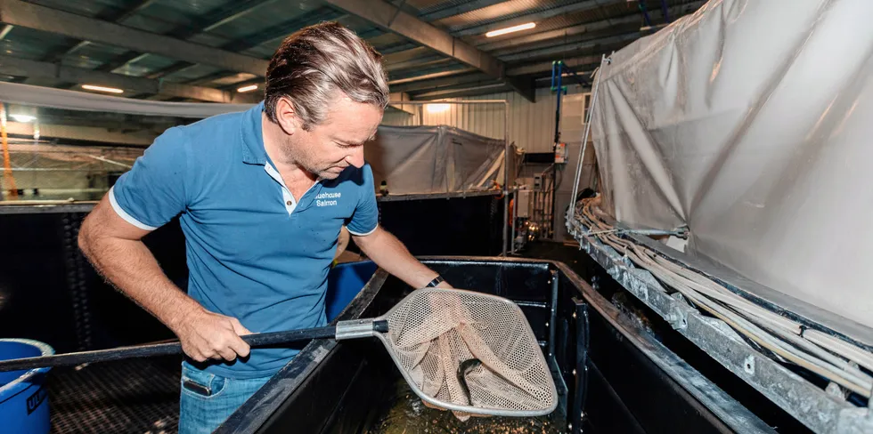 Johan Andreassen er sjef i landbasertselskapet Atlantic Sapphire.