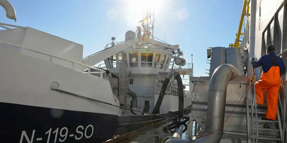 BEDRE VÆR: «Ketlin» kom over NVG-sild nordvest av Skjervøy torsdag, men nå rettes fokuset på makrellen, og skipper Svein Vollen håper på bedre vær – som her da de leverte makrell hos Nils Sperre i fjor.Foto: Einar Lindbæk