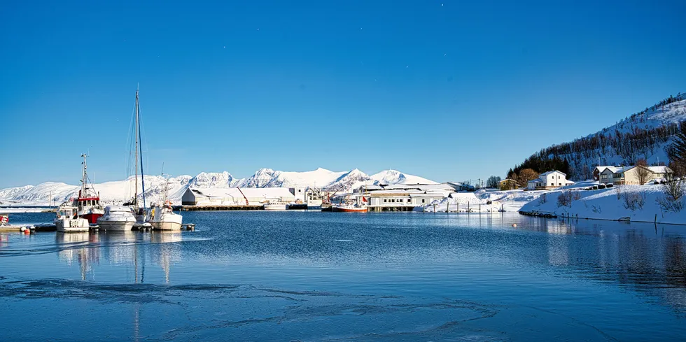 Fiskerinæringa med utspring i Karlsøybruket i Vannavalen er gjenstand for en storstilt etterforskning, mistenkt for brudd på fiskeri- og regnskapslovgivning. To personer ble i denne forbindelse pågrepet i Troms og en person i Ålesund.