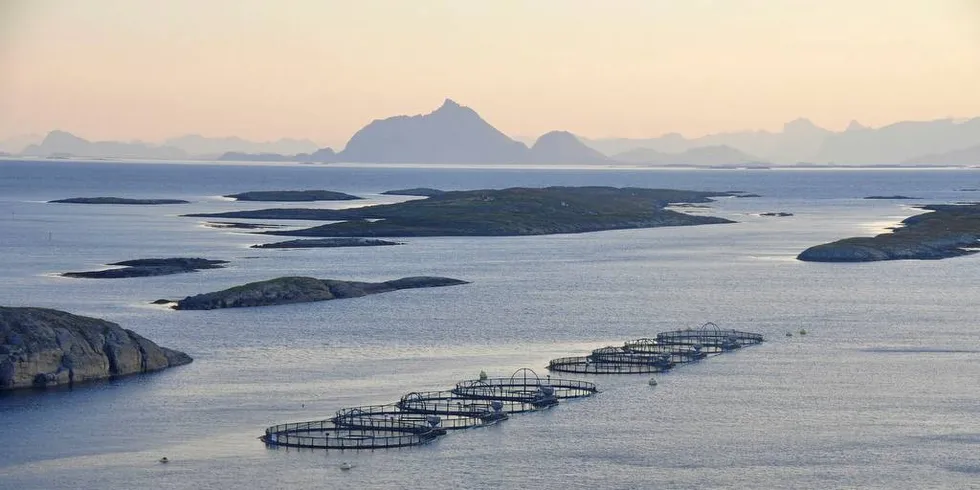 LOVUND: Laksen er viktig for Norge i dag, og vil bli enda viktigere i fremtiden, på minner Sjømatrådet i denne kronikken og viser blant annet til at næringen driver samfunnsbygging. Illustrasjonsfoto: Bent-Are Jensen/Intrafish