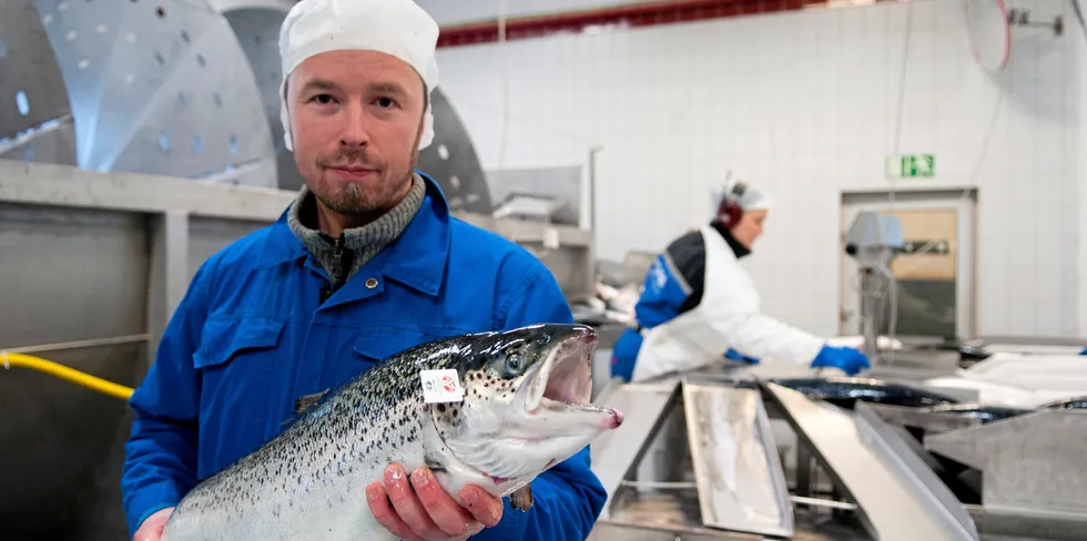 Pure Norwegian Seafood på Averøy. Daglig leder Eldar A Henden har overtatt familiebedrifta og har mangedoblet omsetningen gjennom årene.