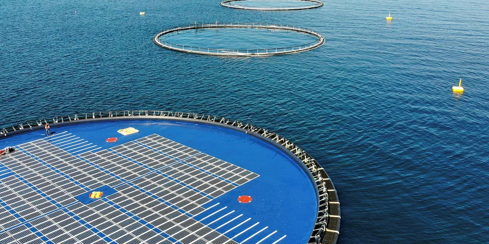 Testanlegg: Ved Austevoll utenfor Bergen ligger et av testanleggene til Ocean Sun. Anlegget har en diameter på 50 meter og 360 moduler på rundt 100kWp.