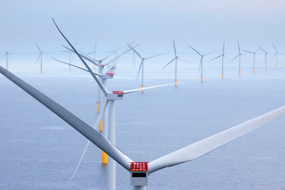 Lyser ut 25-millioners anbud på utbygging av havvind