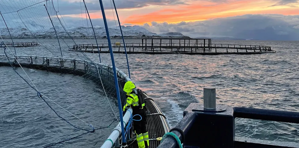 Hvorfor skal investeringskraften i sjømatnæringen kveles? Ja, for det er det som skjer når skattesatsen går fra 22 prosent til minimum 62 prosent, skriver Helge Singelstad, styrets leder i Austevoll Seafood ASA.