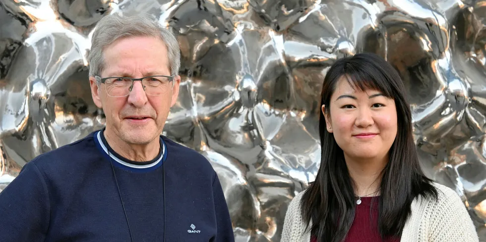 Forskerne Frank Eliassen og Min Zhang ved Universitetet i Oslo jobber med smart energiforsyning naboer imellom.