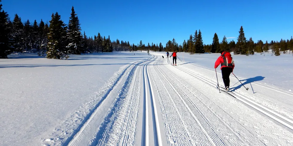 Værvarselet melder kanskje ikke så mange solstrålene i januar, men mildvær, nedbør og mer vind i varslene gjør at kraftprisene de kommende ukene er på full fart nedover.