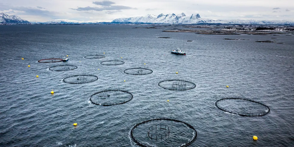 All of the suspected 2023 ISA reportings in Norway have now been emptied of fish.